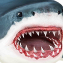 鲨鱼模拟器测试版